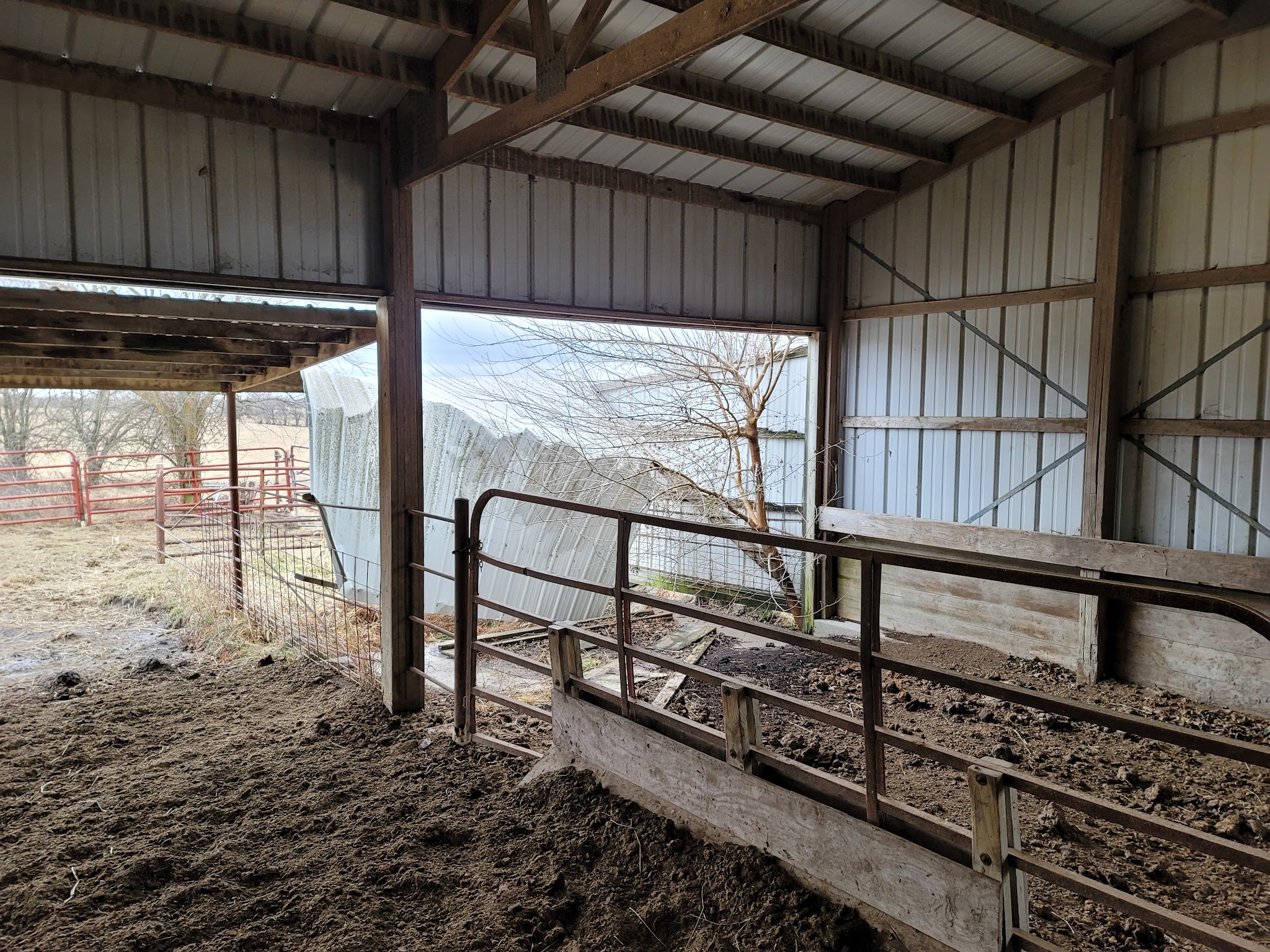 Livestock pens under a steel pole barn